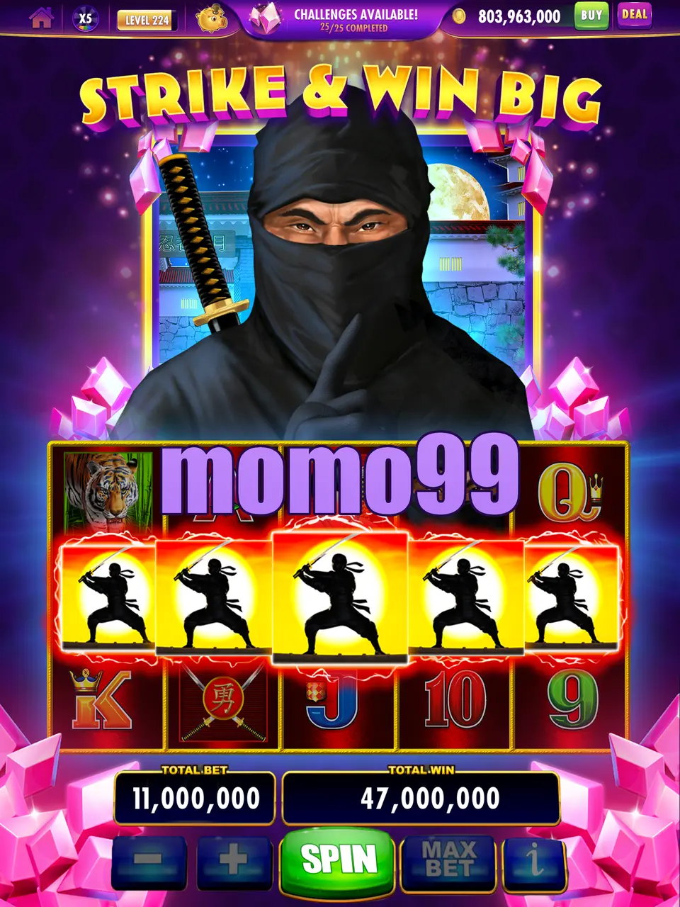 momo99 Preview - Resmi Unduh